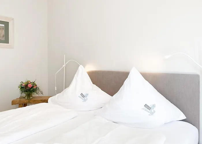 Timmare I Strandhafer *